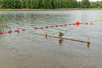 Фото номера Дом с 3 спальнями Дома для отпуска Dom na Mazurach г. Jabłonka 24